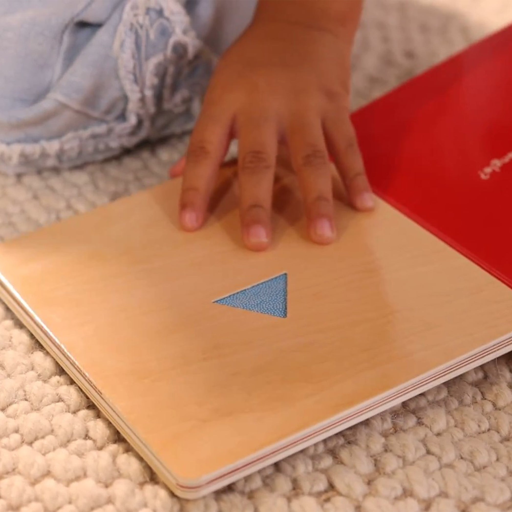 What Do You See? Lift-The-Flap Blocks Book