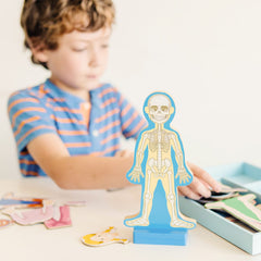 Magnetic Human Body Play Set